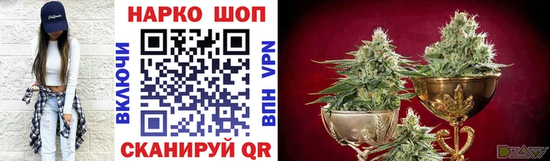 Купить закладку Конопля  Мефедрон  Гашиш  Махачкала