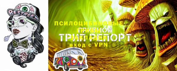 дурь Михайлов
